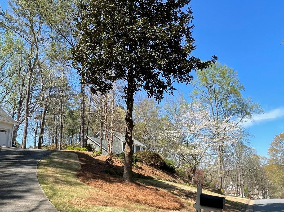 AQ Landscape Group LLC